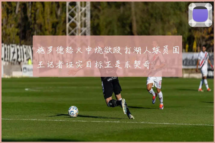施罗德怒火中烧欲殴打湖人球员国王记者证实目标正是东契奇