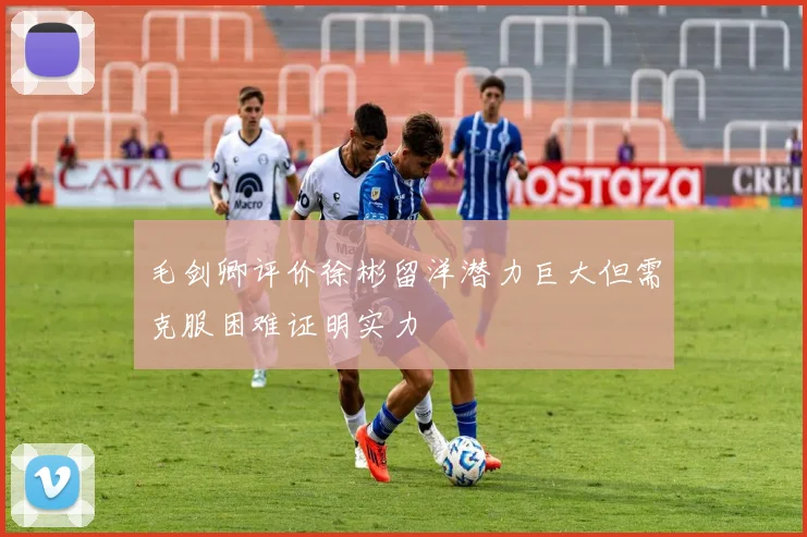 毛剑卿评价徐彬留洋潜力巨大但需克服困难证明实力