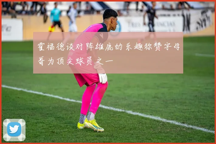 霍福德谈对阵雄鹿的乐趣称赞字母哥为顶尖球员之一