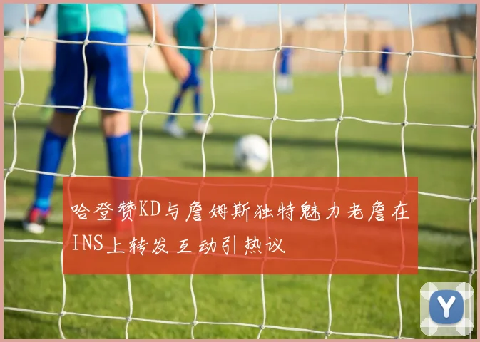 哈登赞KD与詹姆斯独特魅力老詹在INS上转发互动引热议