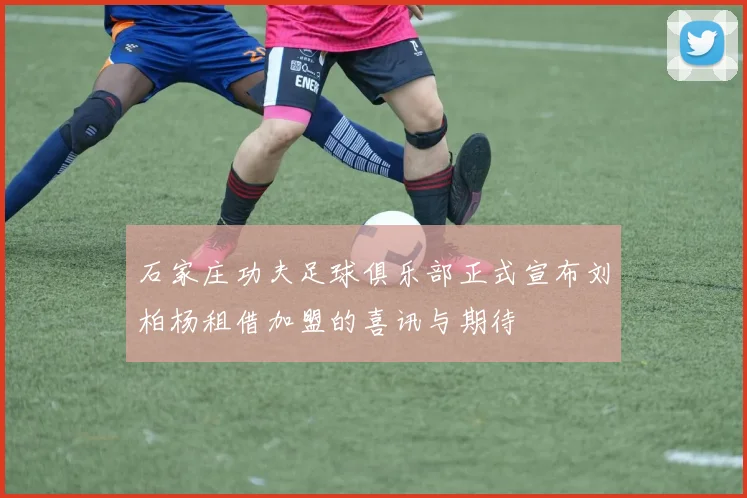 石家庄功夫足球俱乐部正式宣布刘柏杨租借加盟的喜讯与期待