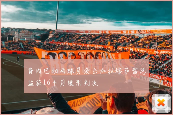 费内巴切两球员袭击加拉塔萨雷总监获16个月缓刑判决